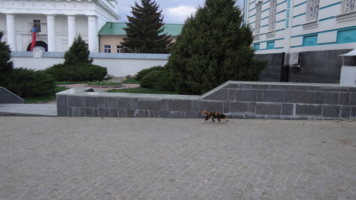 В Задонском монастыре