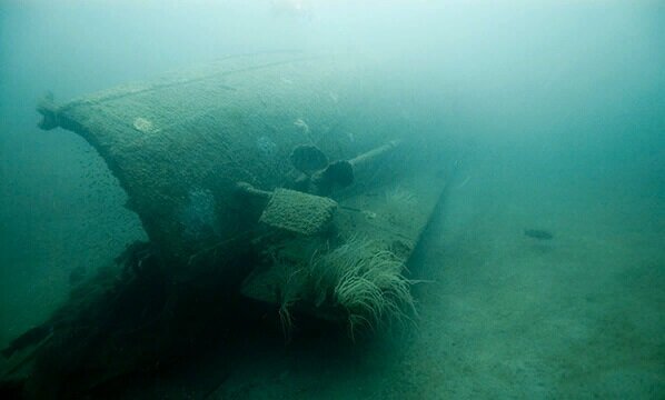 Источник: NOAA
