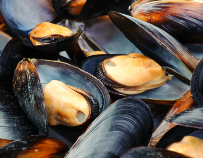 Мидии полезны и питательны