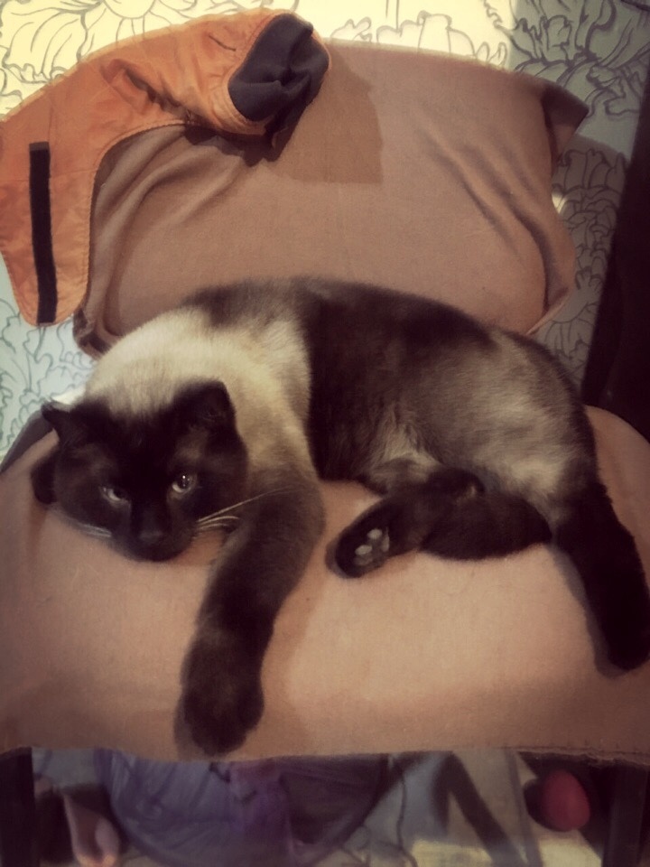 Мартин во всей красе