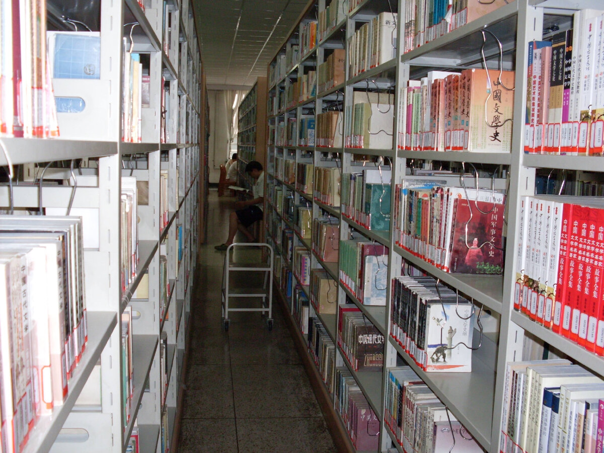 Библиотека - популярное место (фото автора)