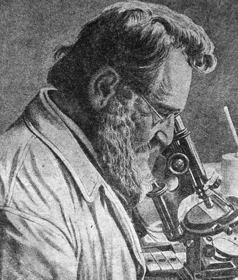 Илья Ильич Мечников открыл явление фагоцитоза в конце 19 века. Фагоцитоз происходит постоянно у каждого человека. Фагоцитоз - не признак воспаления, при котором он тоже есть.