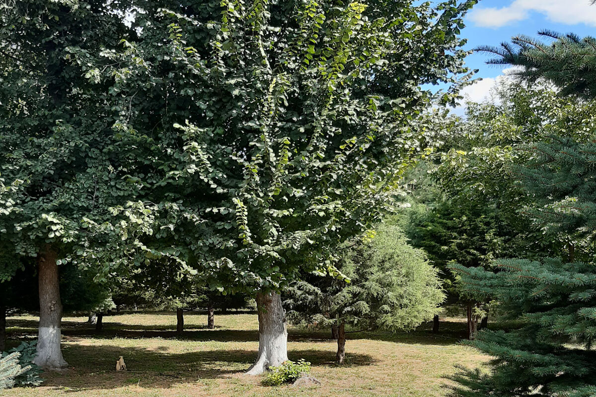 Найти причину для счастья. Фото автора