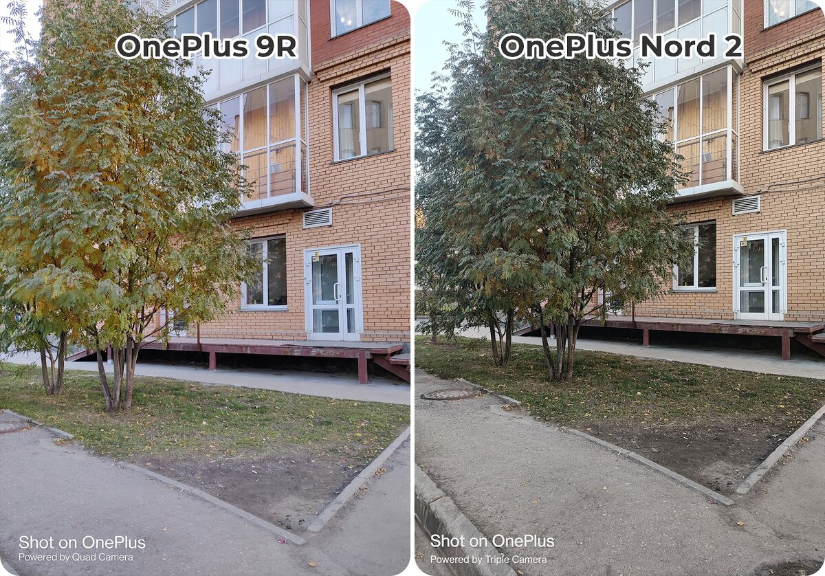 Honor 50 снимки камеры. Xiaomi nord 2. Nord 2 сравнение. Oneplus nord 2 5g antutu. Oppo reno 5 oppo reno 5 5g сравнение.