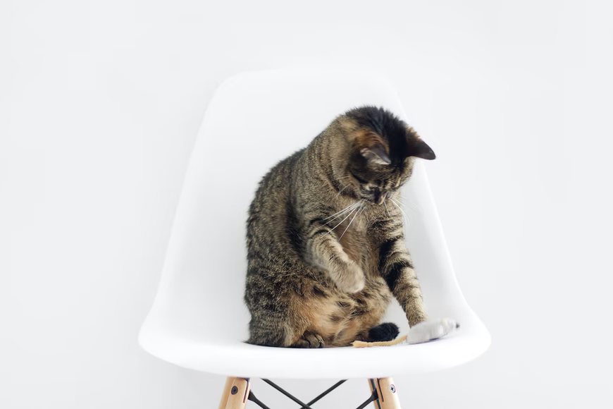 Sarah Dorweiler/unsplash.com