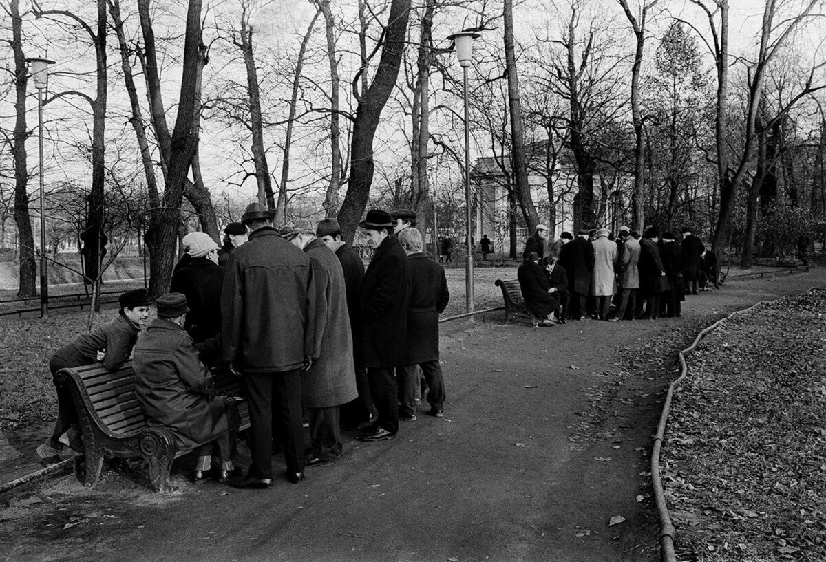 Подборка некоторых петербургских садов для весенних прогулок в черте города: 202