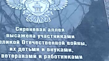 Сиреневая аллея, посаженная участниками ВОВ и их потомками, старый дуб и памятник освободителям города Краснодара в годы ВОВ