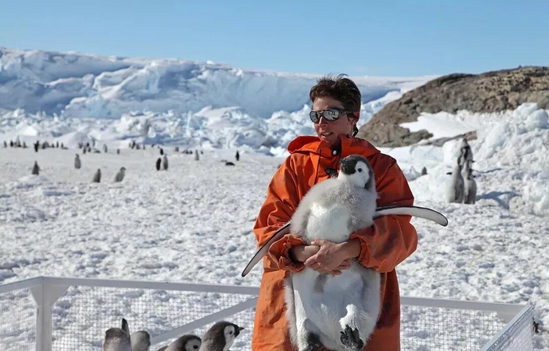 Человек, может уже поставишь меня на землю?