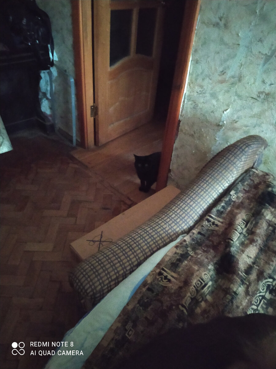 Дели только что изволила завтракать)). Всем привет!