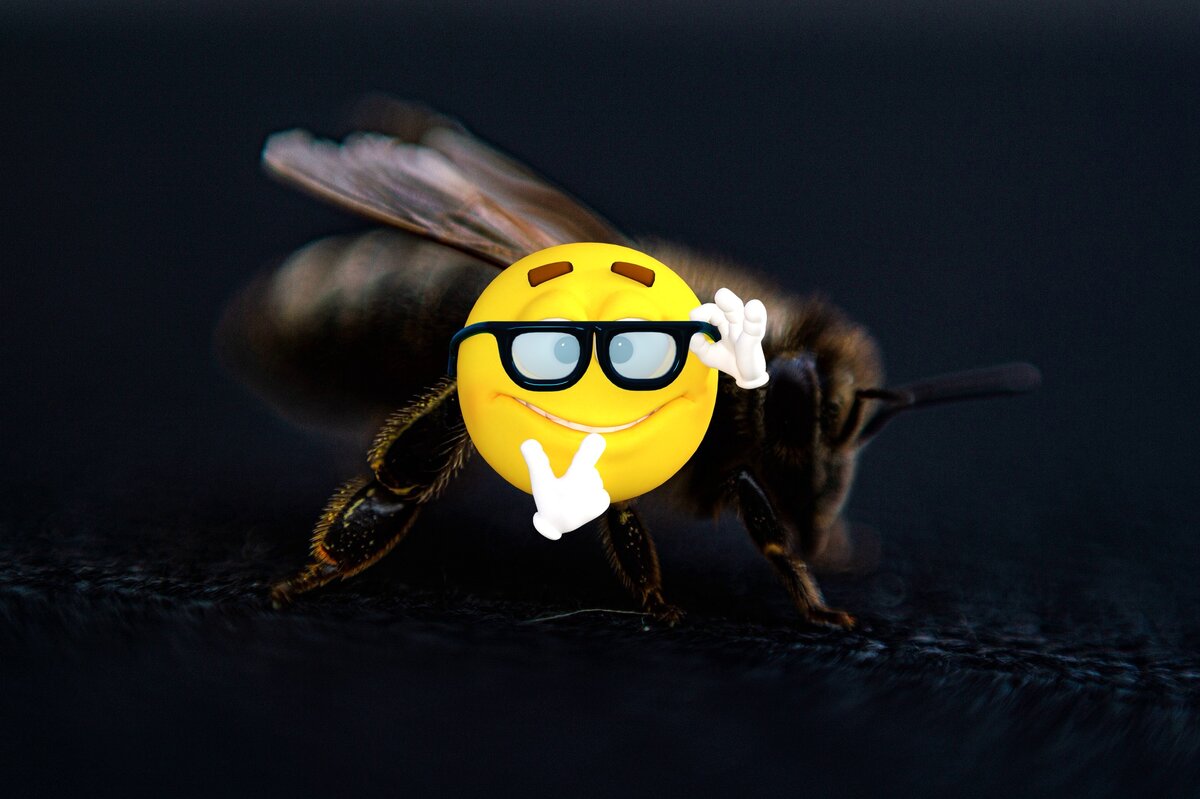 Что помогает зимовке пчёл