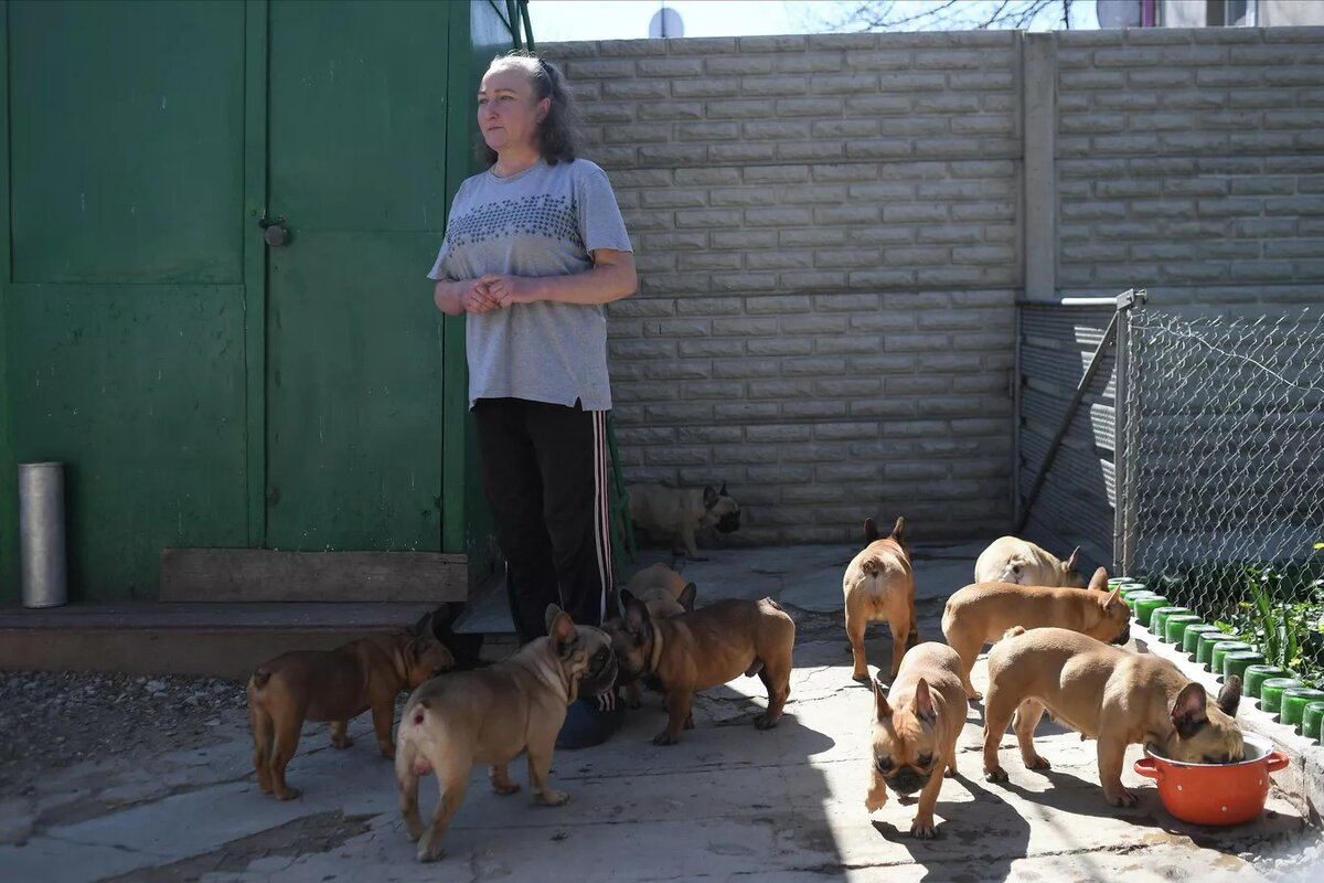 Представители общественного движения "Общероссийский народный фронт" отправили в Луганск корм для животных, часть которого досталась питомнику Виктории.