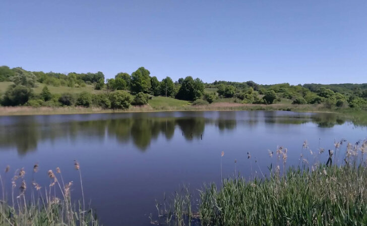    В Курском районе в реку Виногробль сбрасываются сточные воды