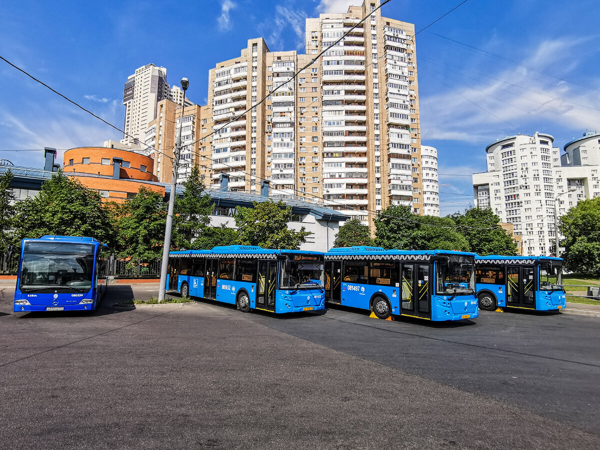 Автобусы на межрейсовом отстое.