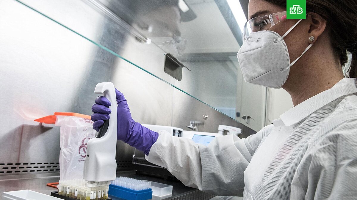    Фото: CDC / unsplash.com