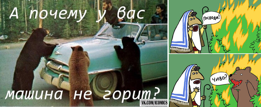 Что означает сгорел медведь. Анекдот про медведя и горящую машину. Шутки про медведя. Что означает сгорел медведь. Медведь сел и сгорел анекдот.