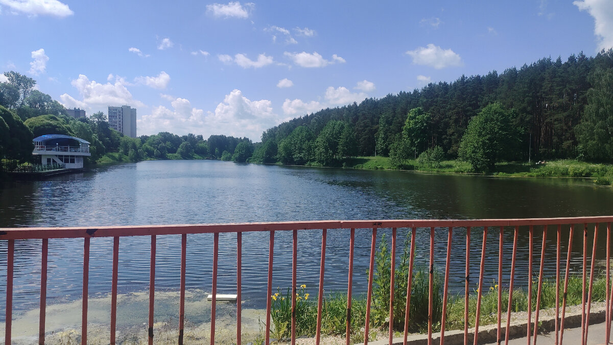 Фото автора. Река Петрица.