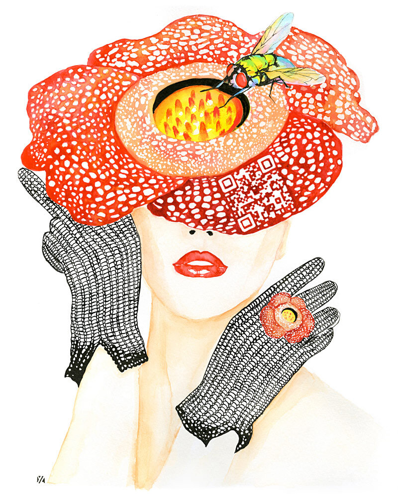 Rafflesia arnoldii  Yi Ying Lu - www.yiyinglu.com