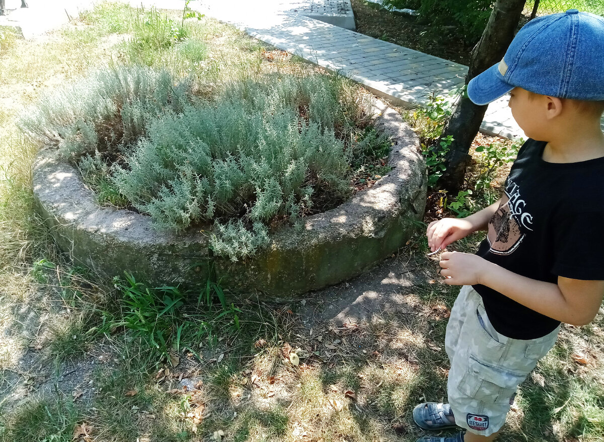 Вы думаете, это клумба? Ну, как ... сейчас это клумба, а раньше (в перевернутом состоянии) это был стрелковый оголовок 