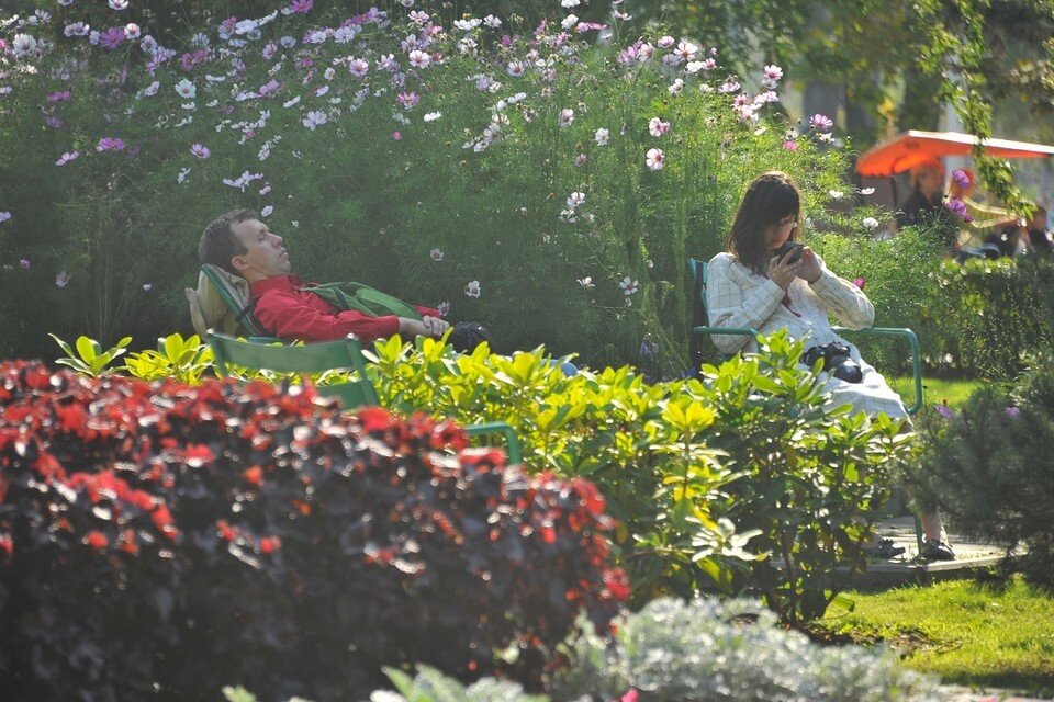     В Новосибирской области в сентябре температура превысит норму на 9 градусов. Евгения ГУСЕВА