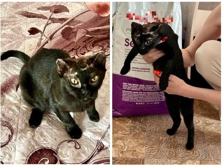    Фото: МК в Новосибирске