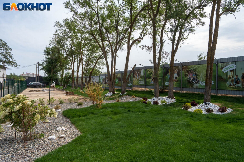    WhatsApp Image 2023-08-11 at 16.03.15