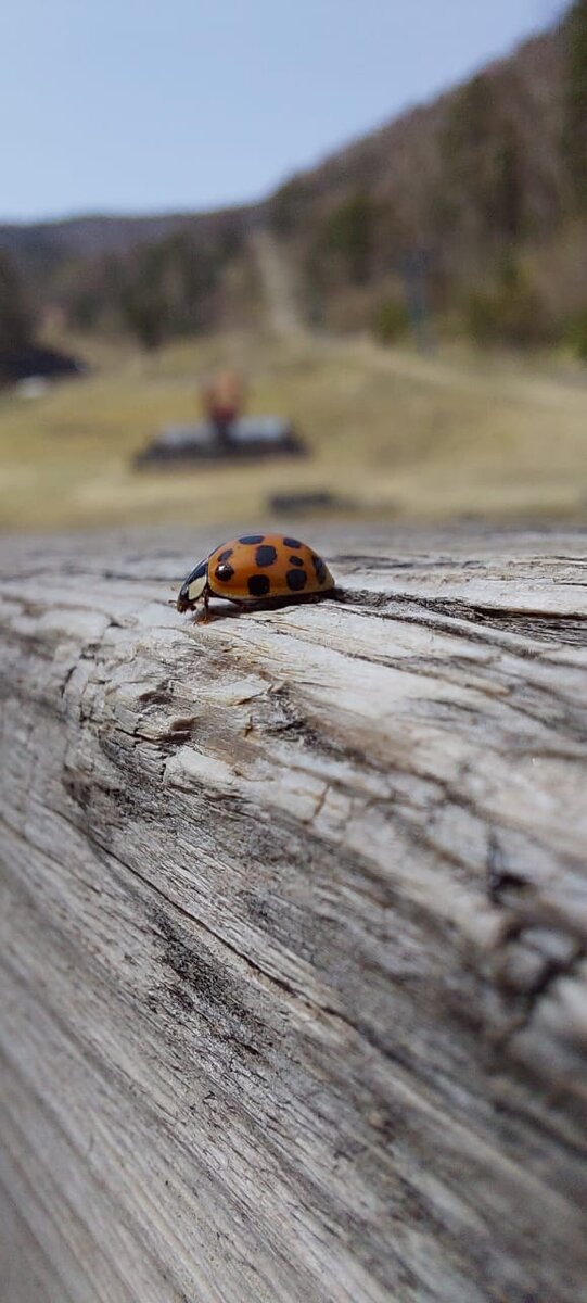 Из личного архива. Фотография сделана моим братом.