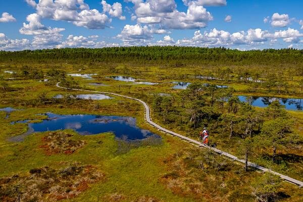 Взято из источников интернета.