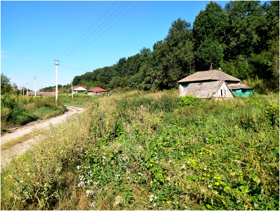 Село николаевка саратовская