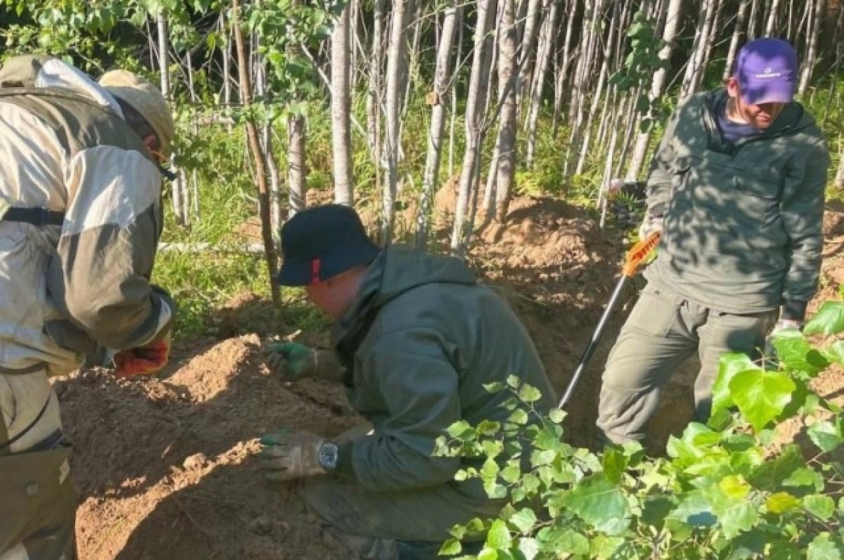    Волонтеров нижегородской компании наградили за участие в «Вахте Памяти»