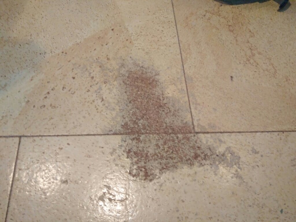 Пробковый пол, и они как правило +- все так выглядят спустя время. Источник: https://www.antaresru.ru/blog/blog/remont-probkovogo-pola-/