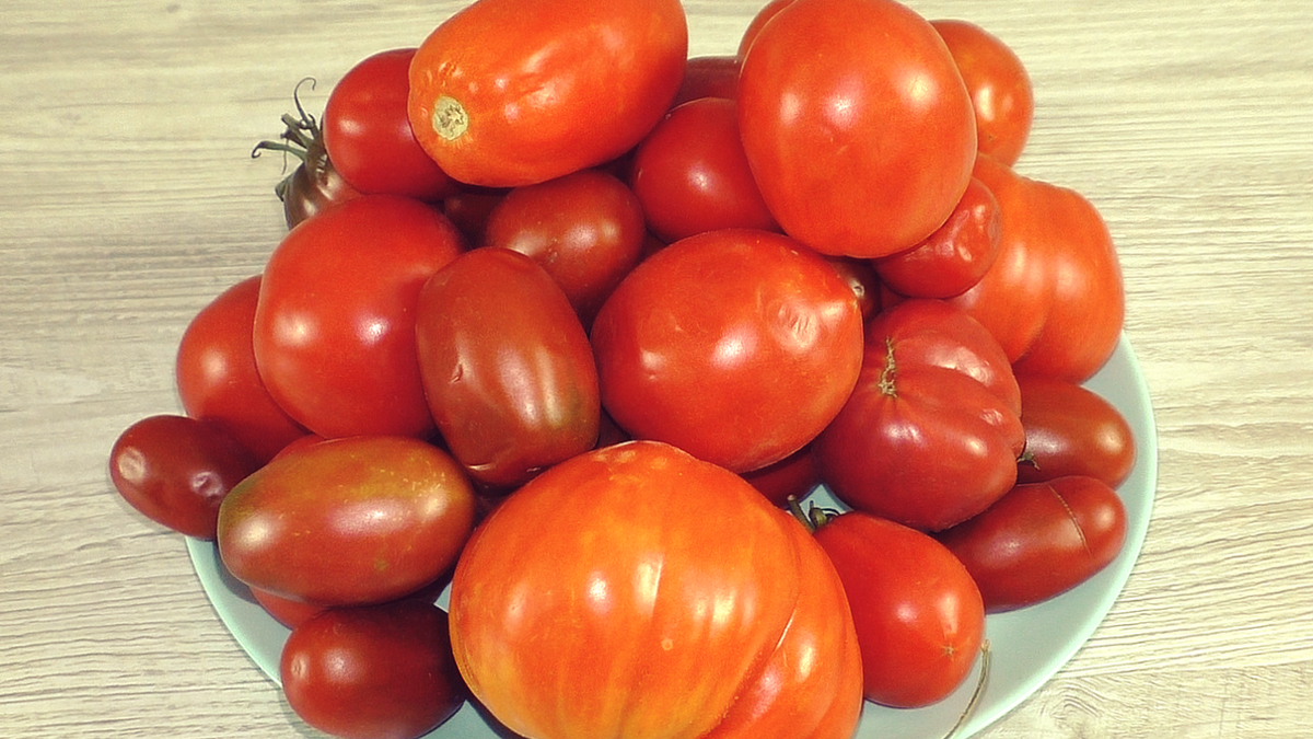 Заготовка томатов на зиму без стерилизации, без соли, без сахара и без уксуса / зимой как свежие