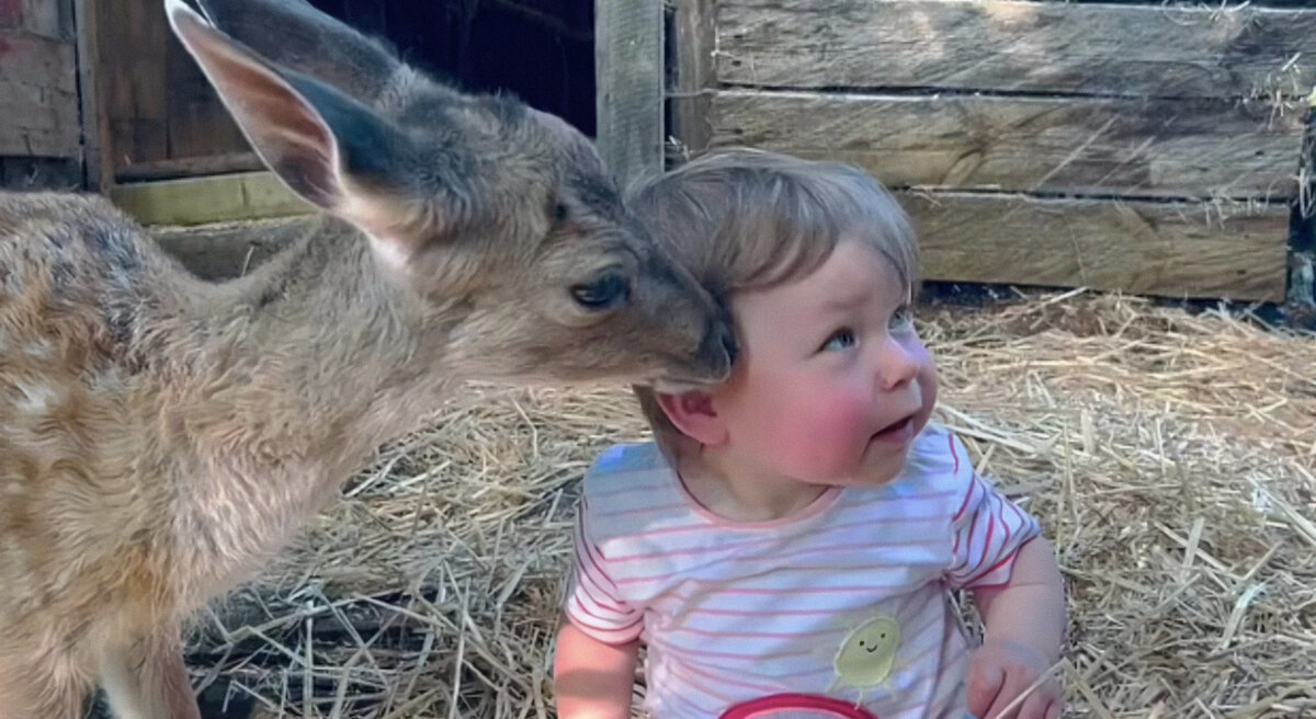 Фото: Jeremy Goldsmith / SWNS