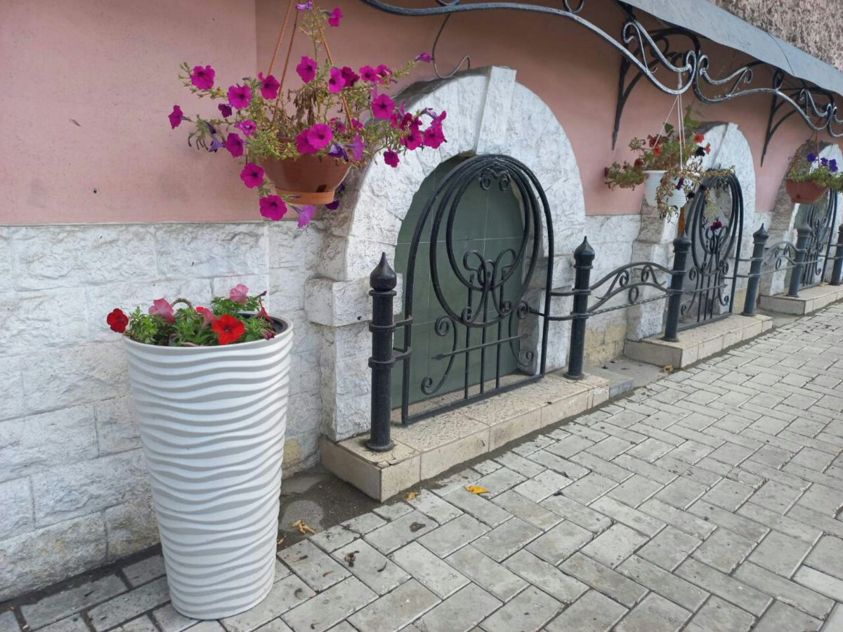 Фото автора.