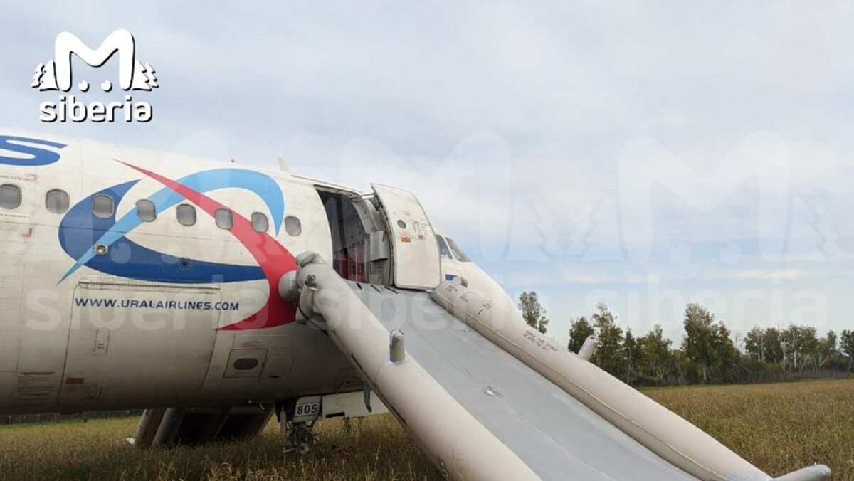 Самолёт Сочи-Омск экстренно сел в поле под Новосибирском: что известно на  этот момент -число пострадавших, причина посадки, рассказ очевидца | МК в  Новосибирске | Дзен