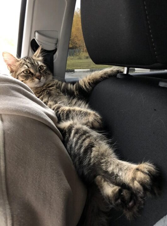 Источник: Яндекс картинки