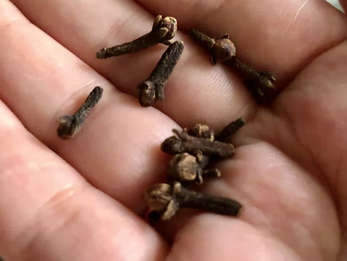 Well, who among us doesn’t use cloves in the kitchen? Every self-respecting housewife actively uses these buds in twists, preparations, and marinades. Excellent spice and seasoning! -5