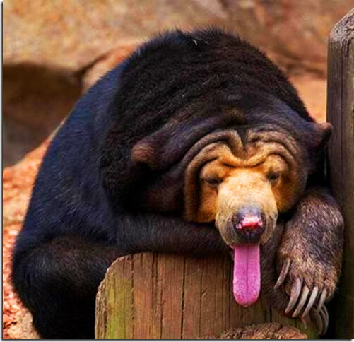 Крем от морщин совсем не помогает...