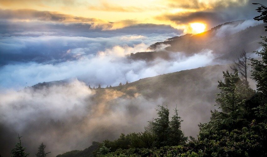 Фото: pixabay.com