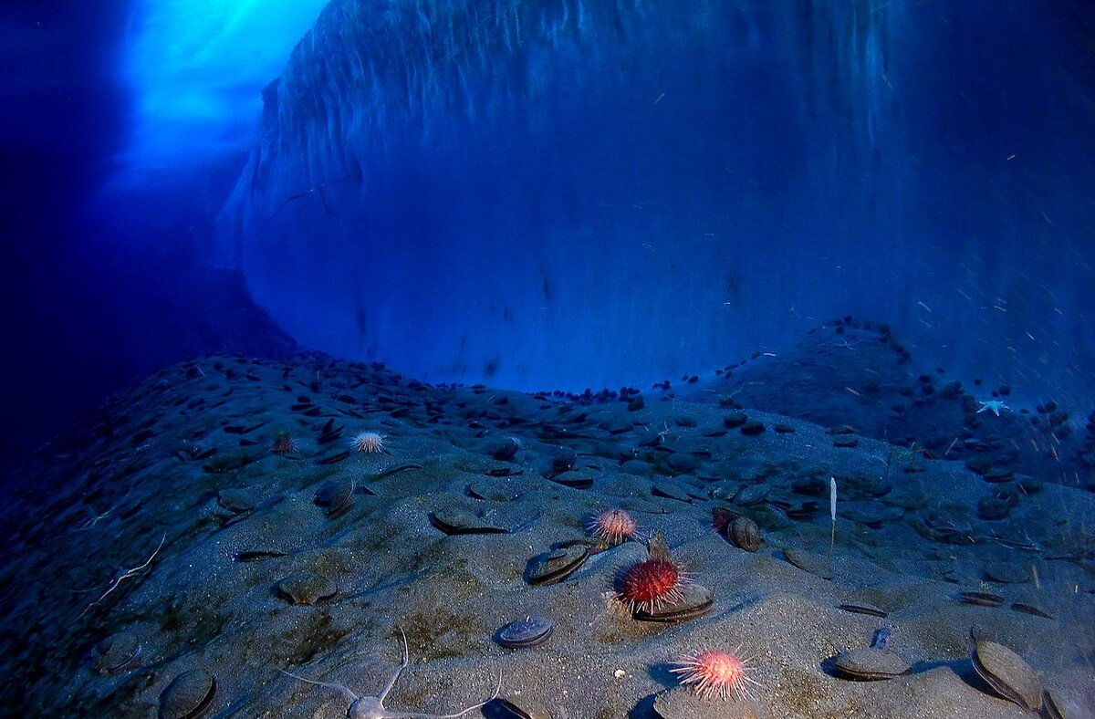 Иллюстрация: Public Domain