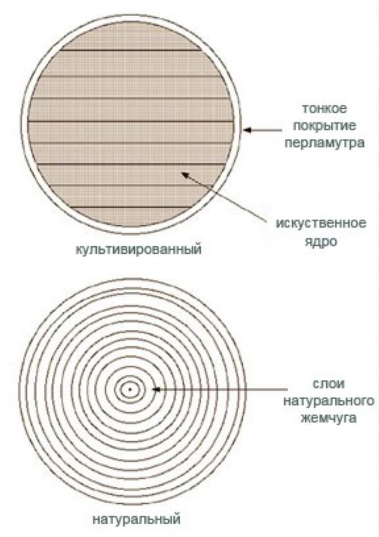 Все самое важное об культивированном и искуственном жемчуге | Увлеченные  люди | Дзен