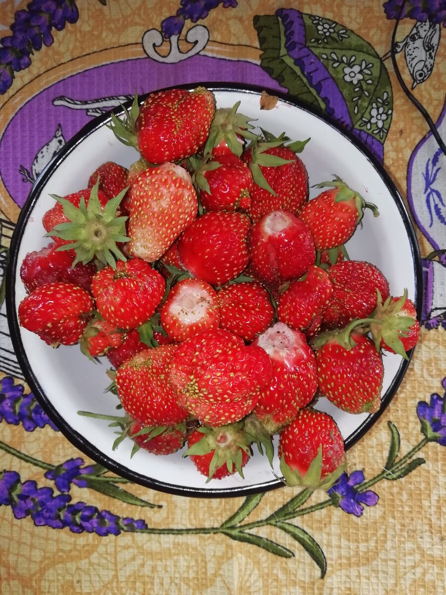 Ягодный пирог. Съедается до последней крошки. 