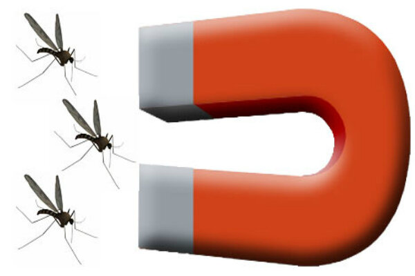 Источник: https://www.google.ru/imgres