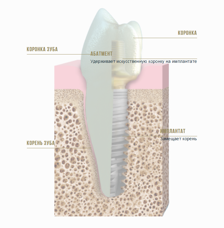 Обратите внимание: