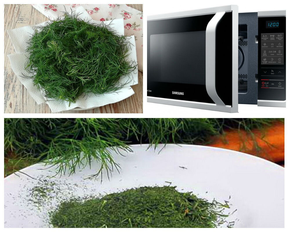 Сушка петрушки в духовке. Как сушить укроп в духовке. Петрушка сушеная. Укроп. Сушеный укроп в сушилке.