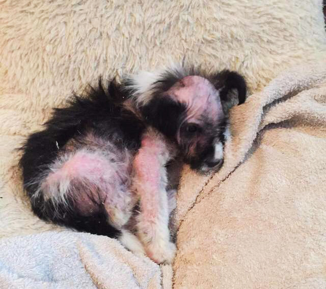 Ничего, до свадьбы доживет!