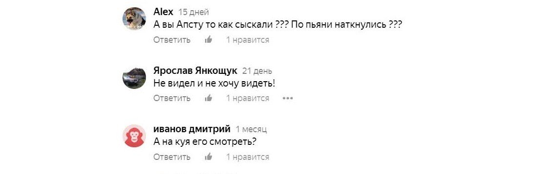 Не могу объяснить чем руководствуются подобные личности? 