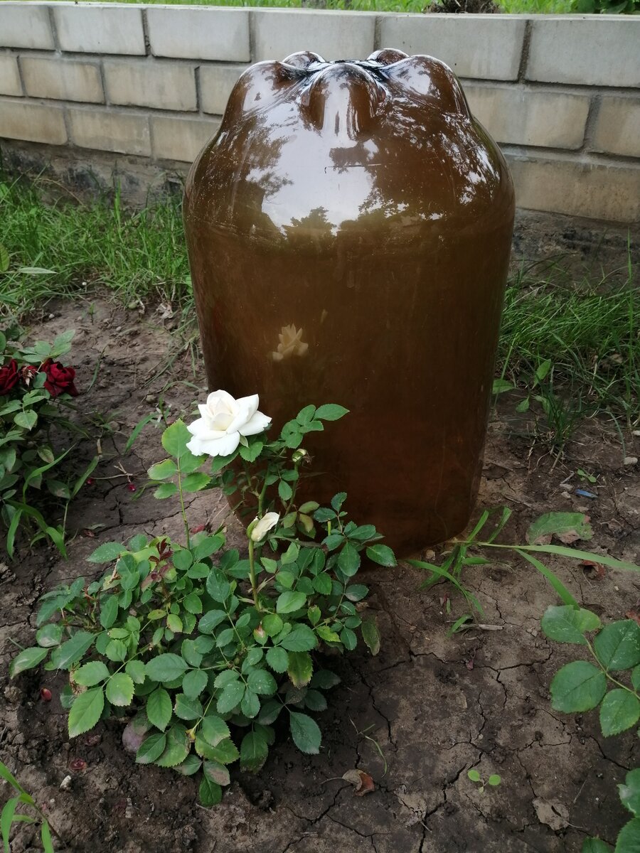 обрезанная кега