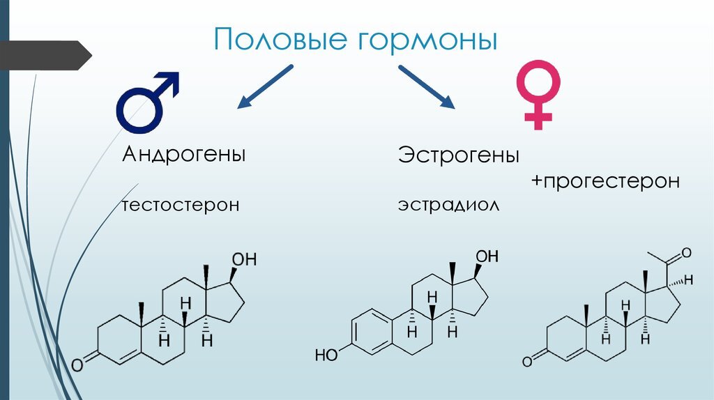 Половые гормоны фото