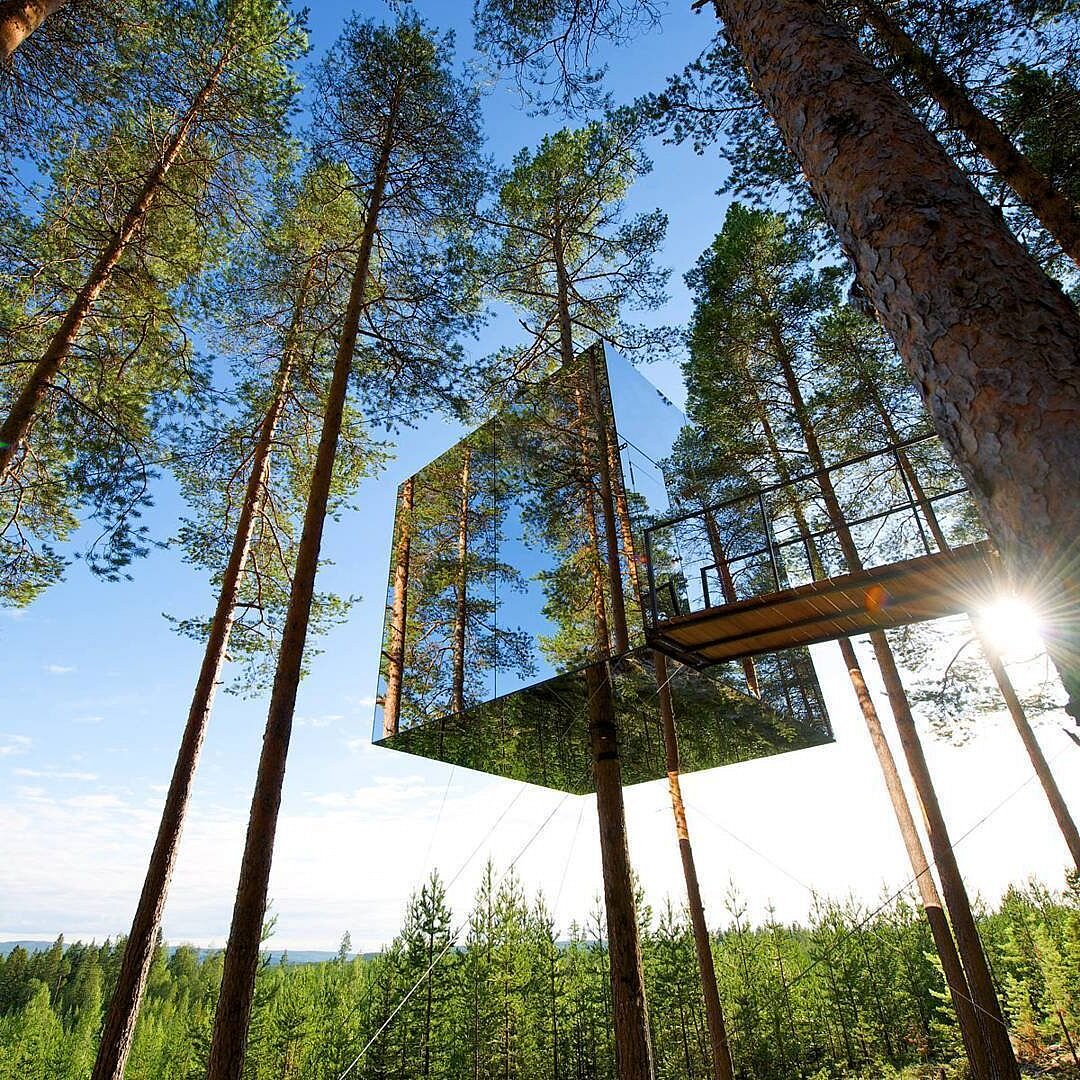 Отель tree. Tree Hotel Швеция Харадс. Отель Treehotel в Швеции. Гостиница на дереве, Швеция (Treehotel). Зеркальный куб (Mirrorcube), Швеция