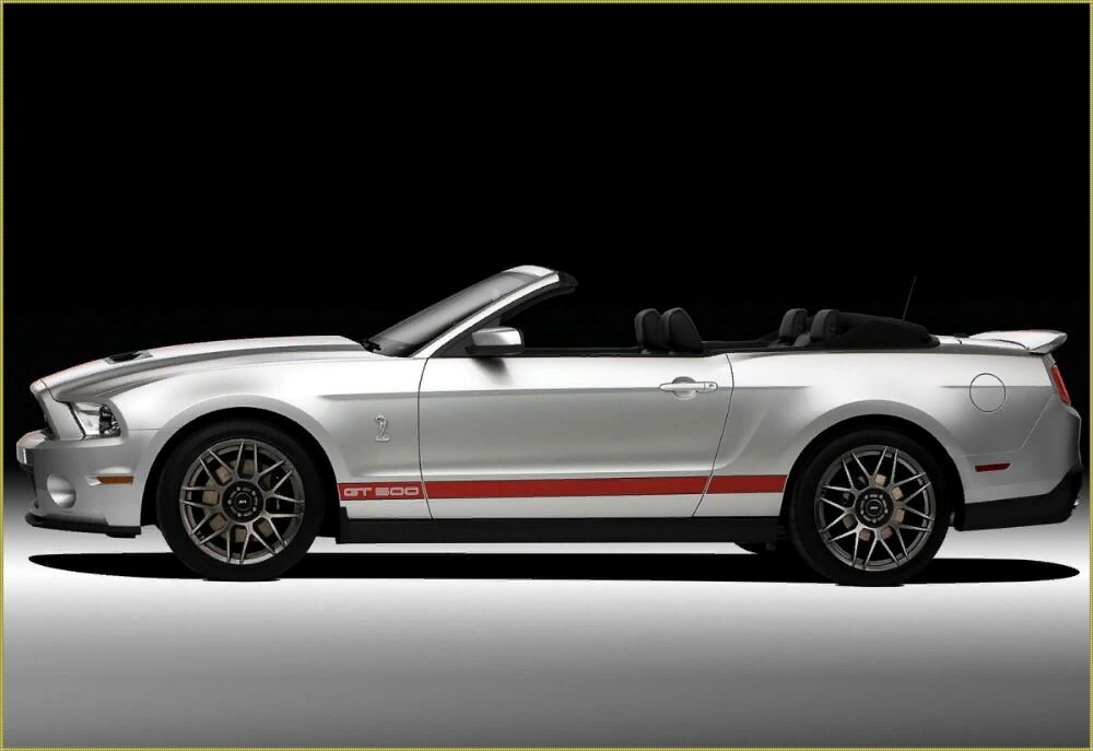 фото взято из интернета